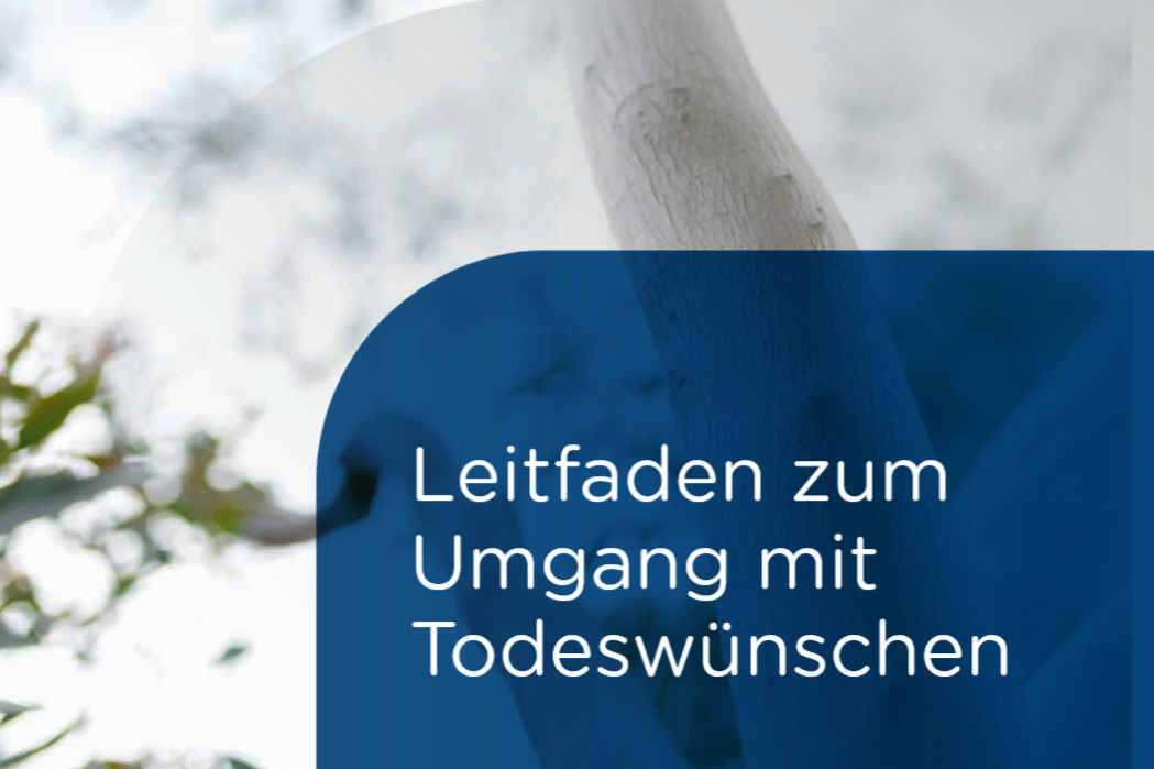 Todeswünsche verstehen und professionell begleiten